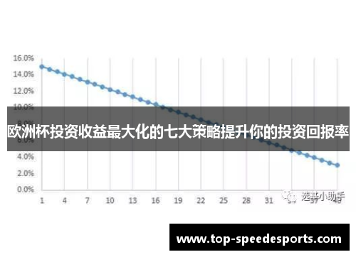 欧洲杯投资收益最大化的七大策略提升你的投资回报率